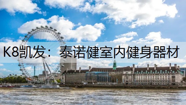 K8凯发：泰诺健室内健身器材