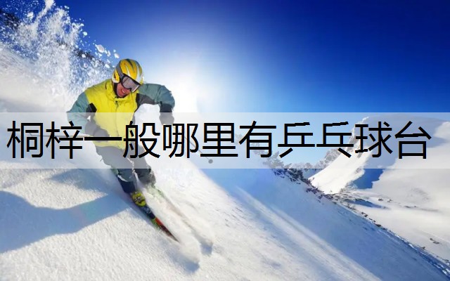 桐梓一般哪里有乒乓球台
