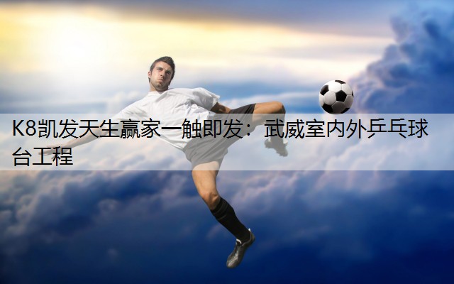 K8凯发天生赢家一触即发：武威室内外乒乓球台工程