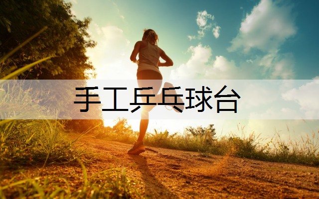 手工乒乓球台