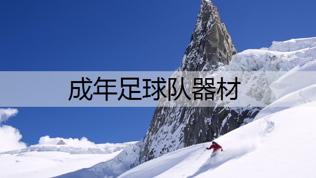 成年足球队器材