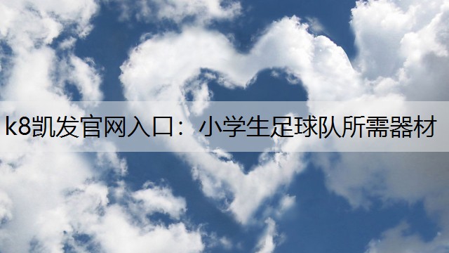 k8凯发官网入口：小学生足球队所需器材