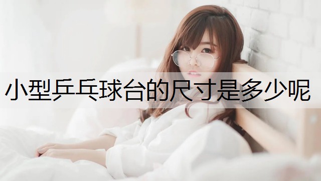 小型乒乓球台的尺寸是多少呢