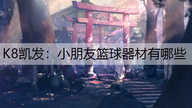 K8凯发：小朋友篮球器材有哪些