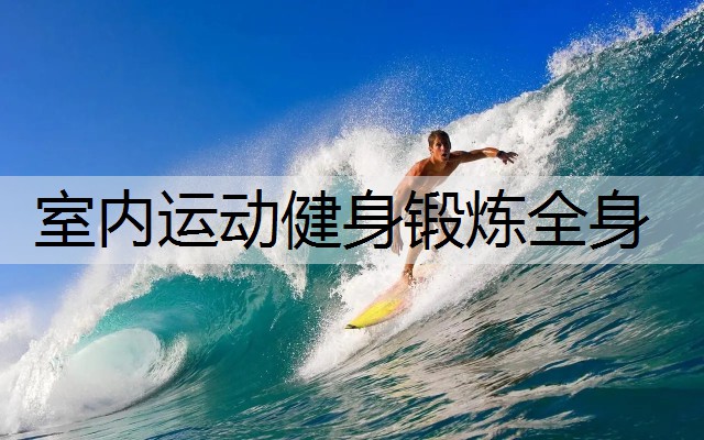 室内运动健身锻炼全身