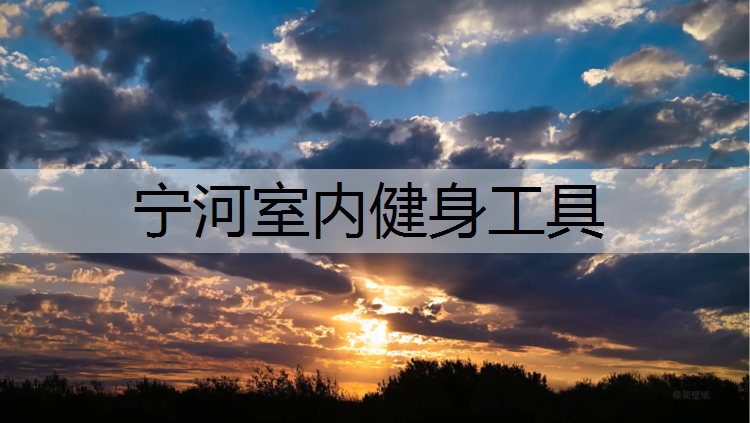 宁河室内健身工具