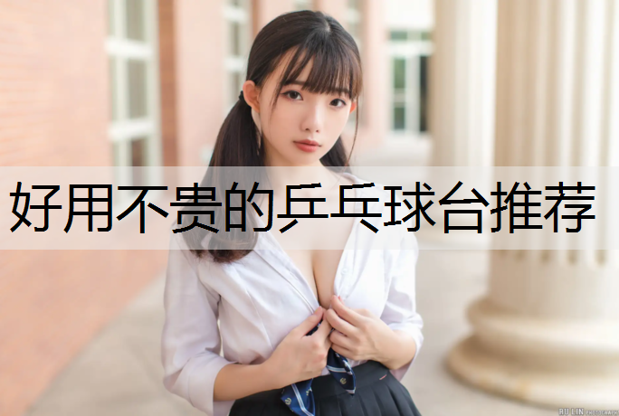 好用不贵的乒乓球台推荐