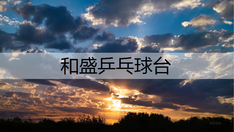 和盛乒乓球台