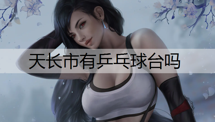 天长市有乒乓球台吗