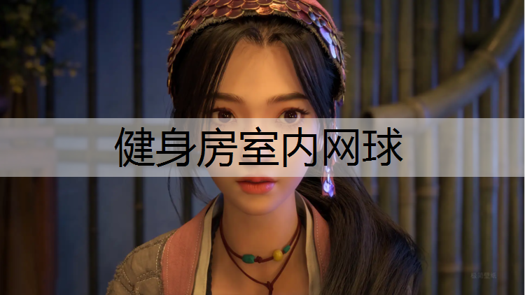 健身房室内网球