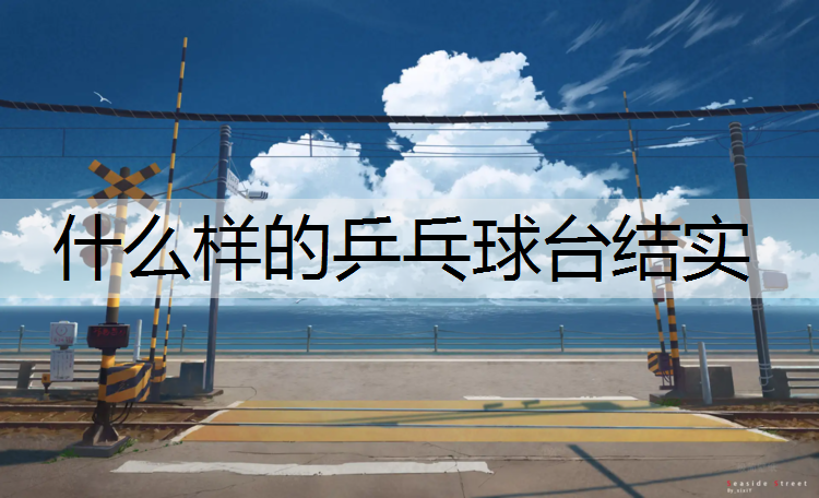 什么样的乒乓球台结实