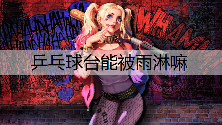 乒乓球台能被雨淋嘛