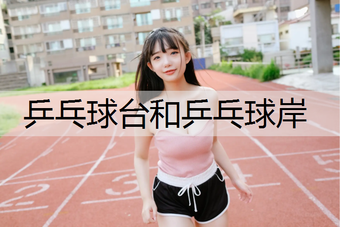 乒乓球台和乒乓球岸