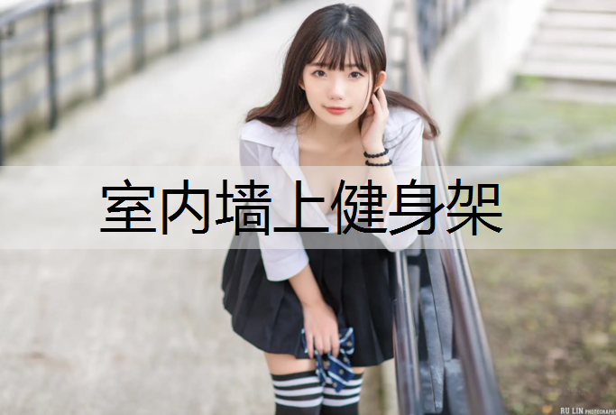 室内墙上健身架