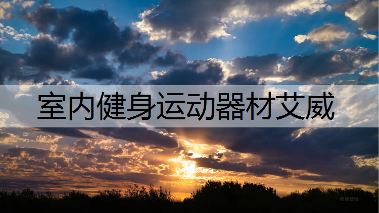 室内健身运动器材艾威