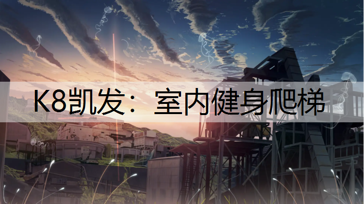 K8凯发：室内健身爬梯