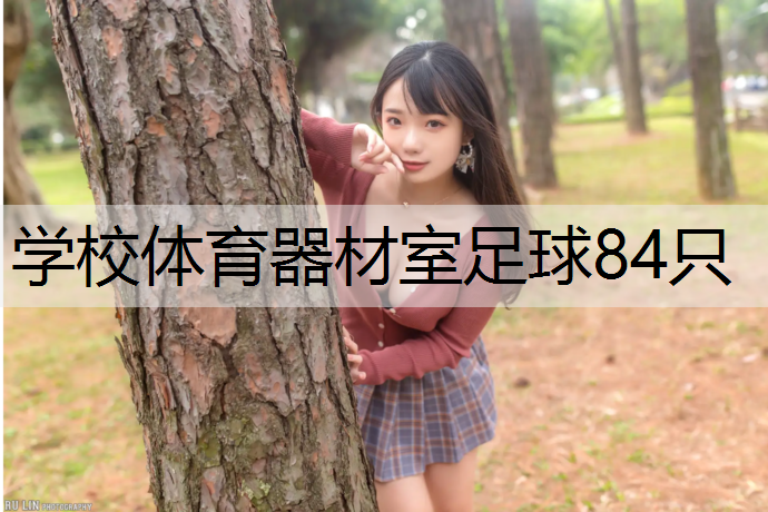 学校体育器材室足球84只