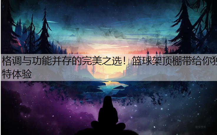 格调与功能并存的完美之选！篮球架顶棚带给你独特体验