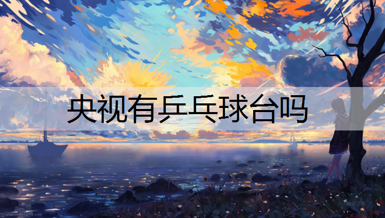 央视有乒乓球台吗