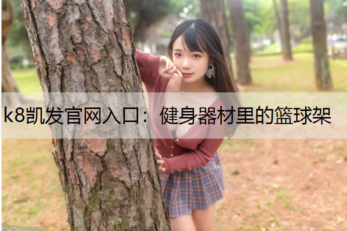k8凯发官网入口：健身器材里的篮球架