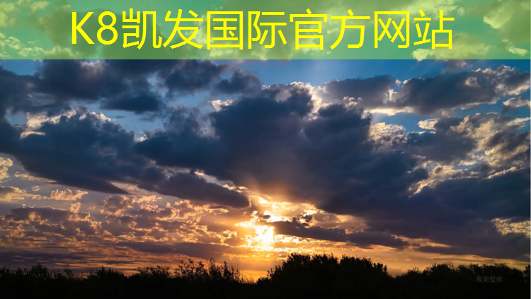 K8凯发天生赢家一触即发：跆拳道护具护臂蓝色