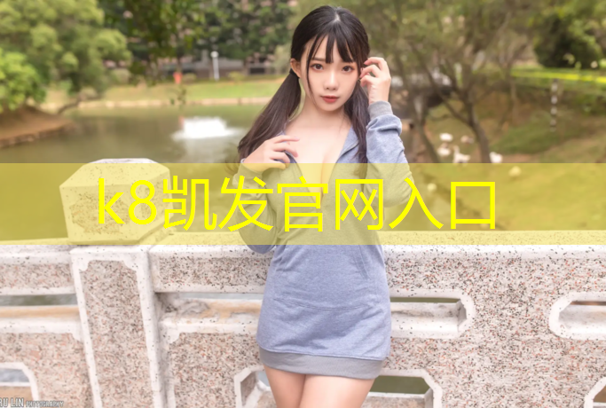 K8凯发：马鞍山网球网