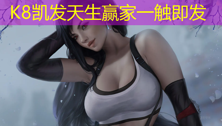 K8凯发：深圳湾网球网球培训中心