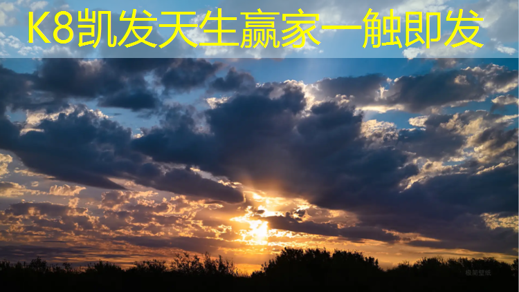 k8凯发官网入口：临沂自结纹塑胶跑道