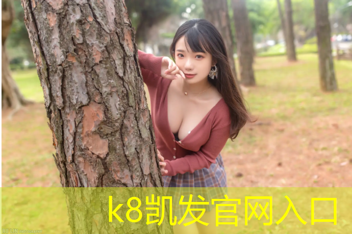 k8凯发官网入口：九龙坡网球网价格多少_