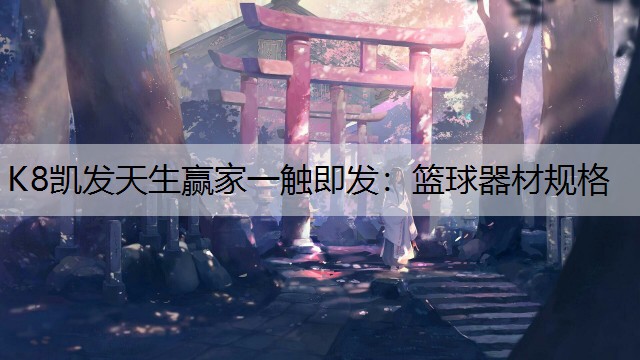 篮球器材规格