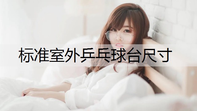 标准室外乒乓球台尺寸