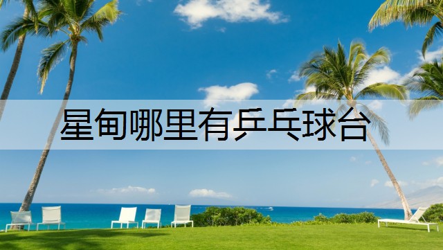 星甸哪里有乒乓球台