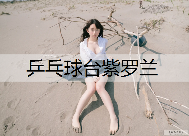 乒乓球台紫罗兰