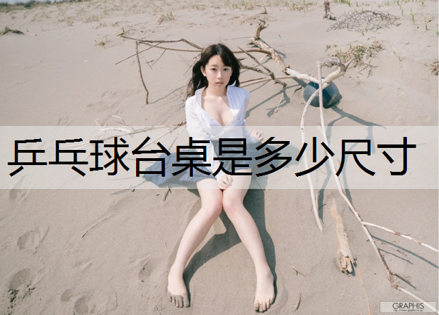 乒乓球台桌是多少尺寸
