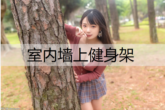 室内墙上健身架