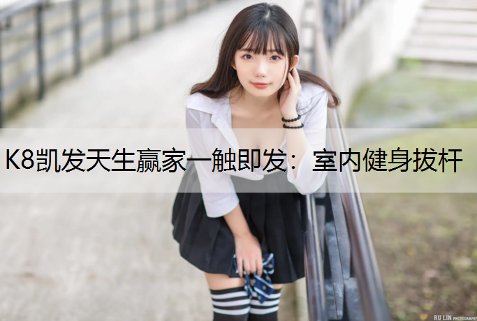 室内健身拔杆