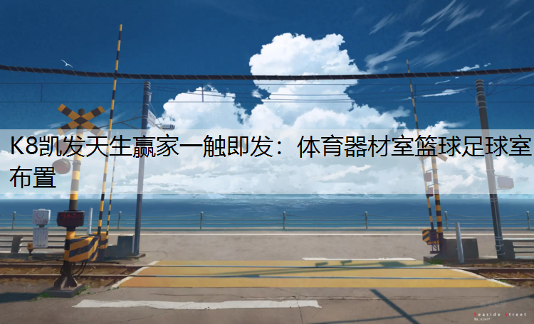 体育器材室篮球足球室布置