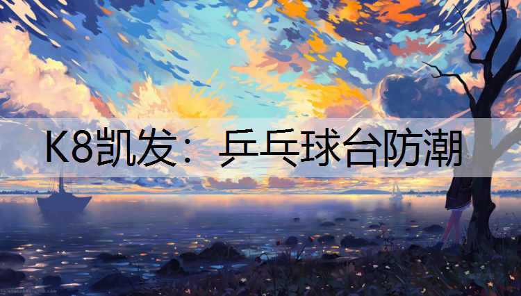 乒乓球台防潮