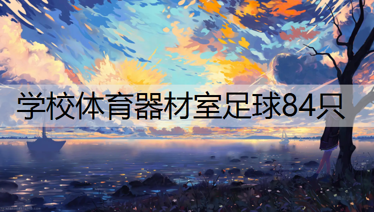 学校体育器材室足球84只