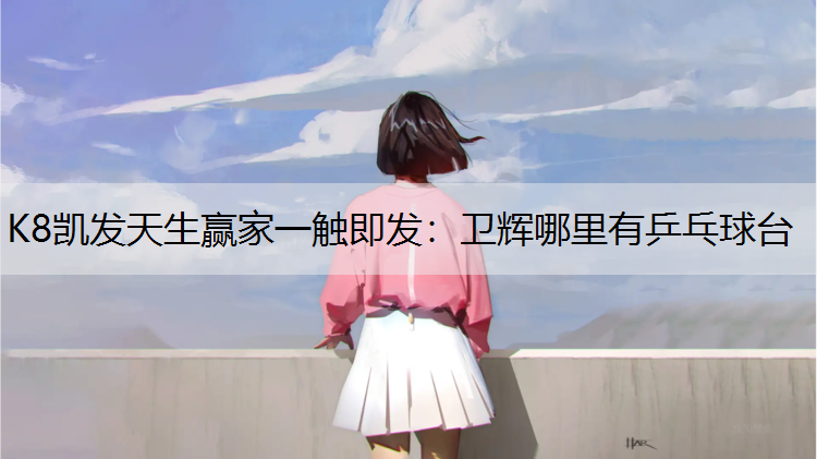 卫辉哪里有乒乓球台