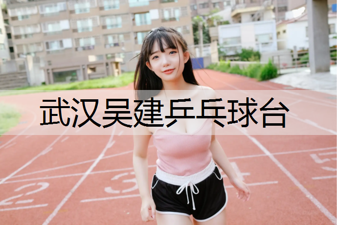 武汉吴建乒乓球台