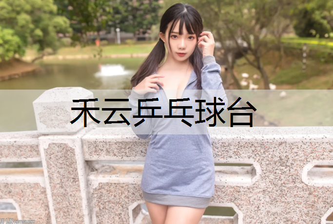 禾云乒乓球台